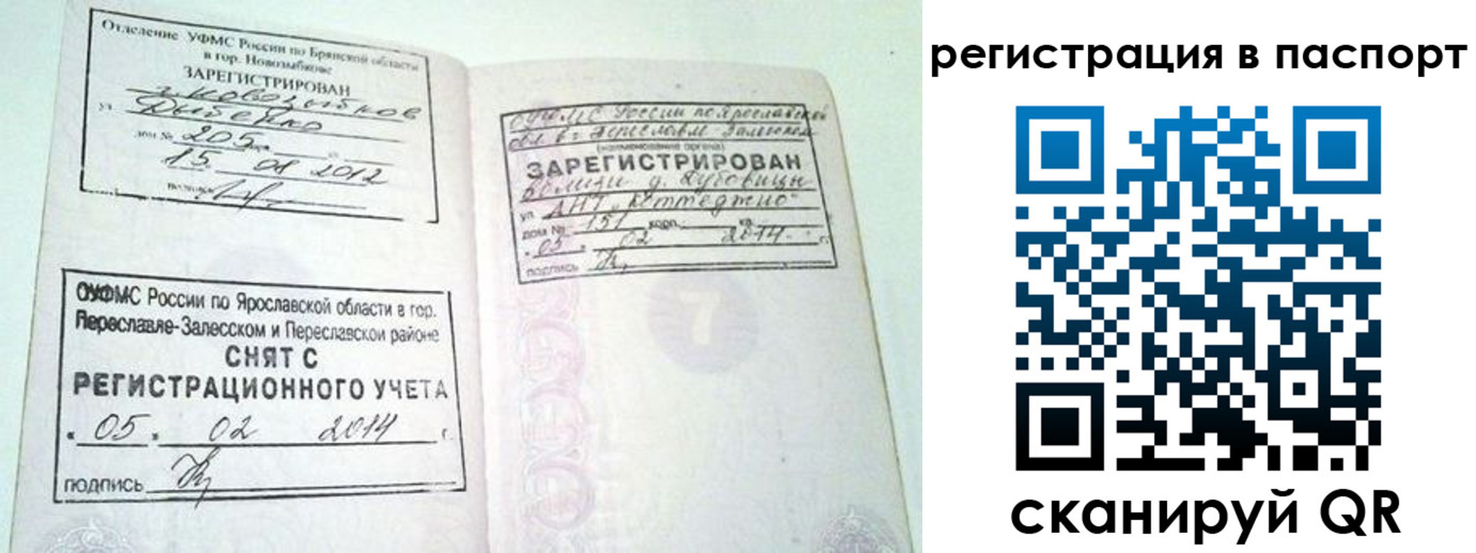 прописка в квартире в Ясном